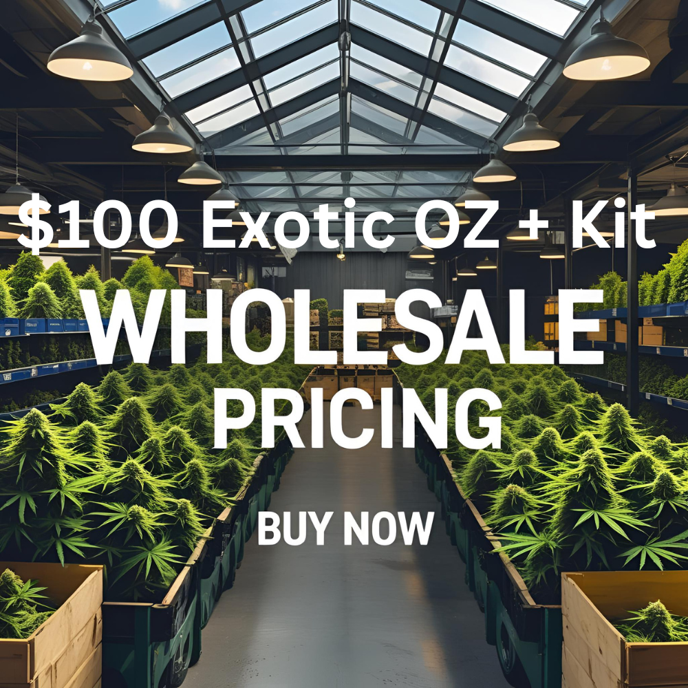 100-Exotic-OZ-Kit 1 OZ Exotic THC Flower + KIT: 99$ Deal - Image 1