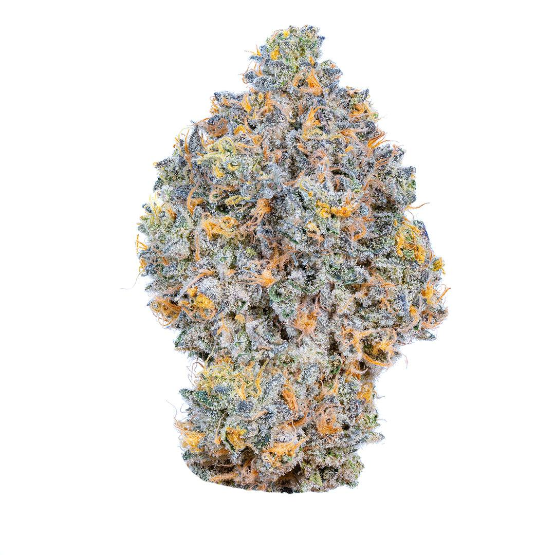 CCD_CA_Removed_Rainbow_Sherbert Rainbow Sherbert (Premium Indoor Exotic) - Image 1