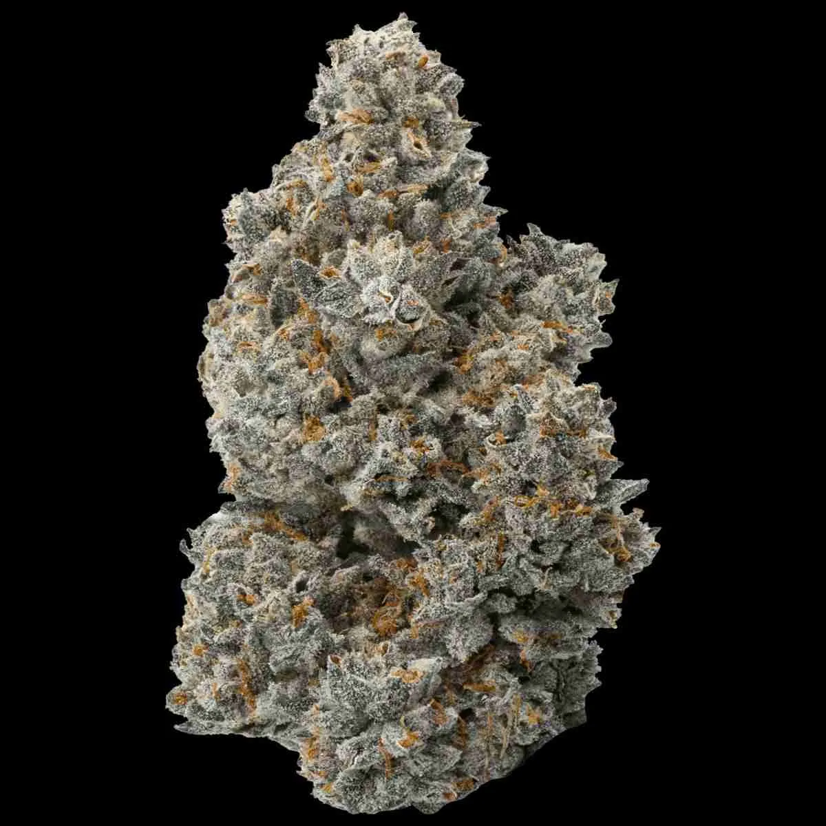 Dantes-Inferno-Strain-WEB Dante’s Inferno (Top Shelf Exotic) - Image 1