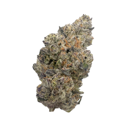 Tokyo Snow (TOP SHELF EXOTIC)- BUD TENDERS TOP PICK