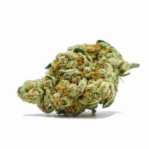 Slurricane-Strain-e1659077527436-2 Slurricane (Indoor Exotics) - Image 1