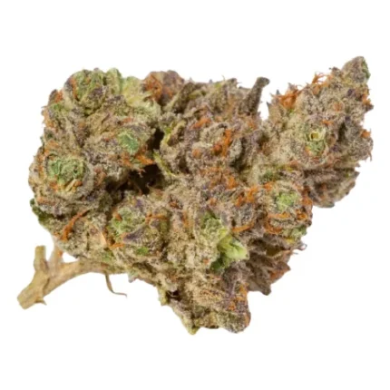 Star Dawg (Indoor EXOTIC)