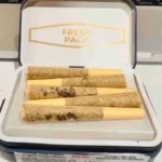 Postman Meds Live Resin infused Pack of 5 Pre-roll