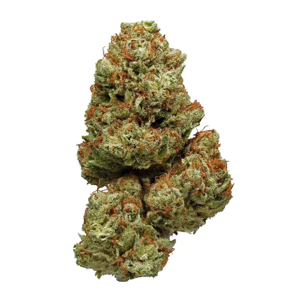 Untitled-design-38 Cherry Garcia (PREMIUM INDOOR Rare Exotic) - Image 1