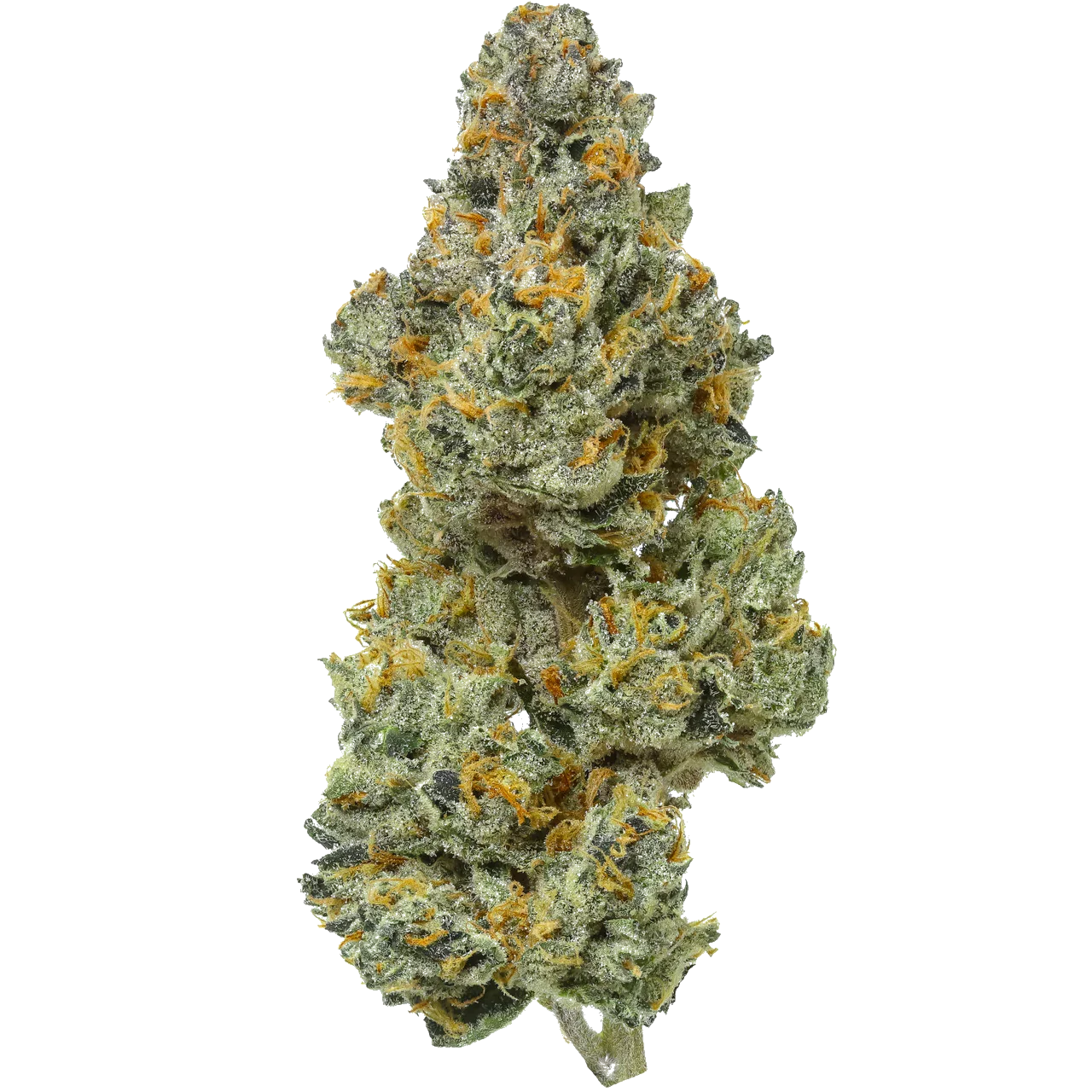 bleuruntz Blue Runtz (Indoor Exoitc) - Image 1