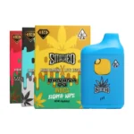 Smashed 3.5 Gram Disposable Vape – Live Resin X Liquid Diamonds - Image 2