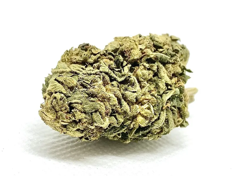 zombie-og-aaa-indica Zombie Nuts - Image 1