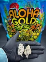 Aloha Gold Snow Cap Flower - Image 2